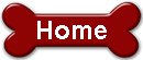 You are on the home page.